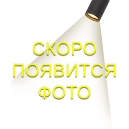 Светодиодная нить ARdecoled 025808
